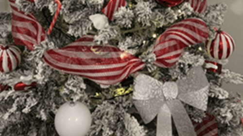 Turkey and Tinsel in Scarborough and York – Monday 16th November 2026 to Friday 20th November 2026